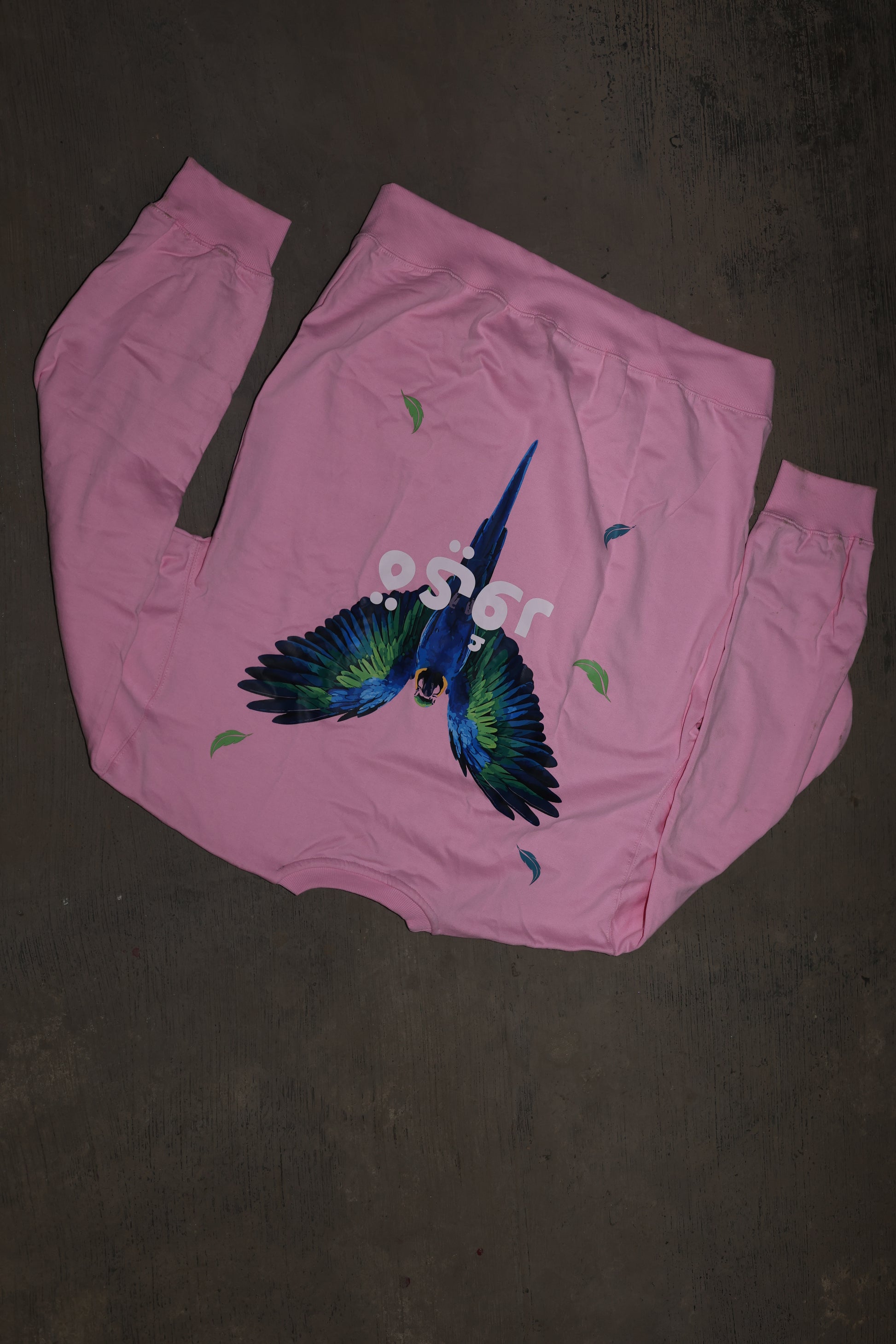 Fleshwing Sweatshirt - Pink