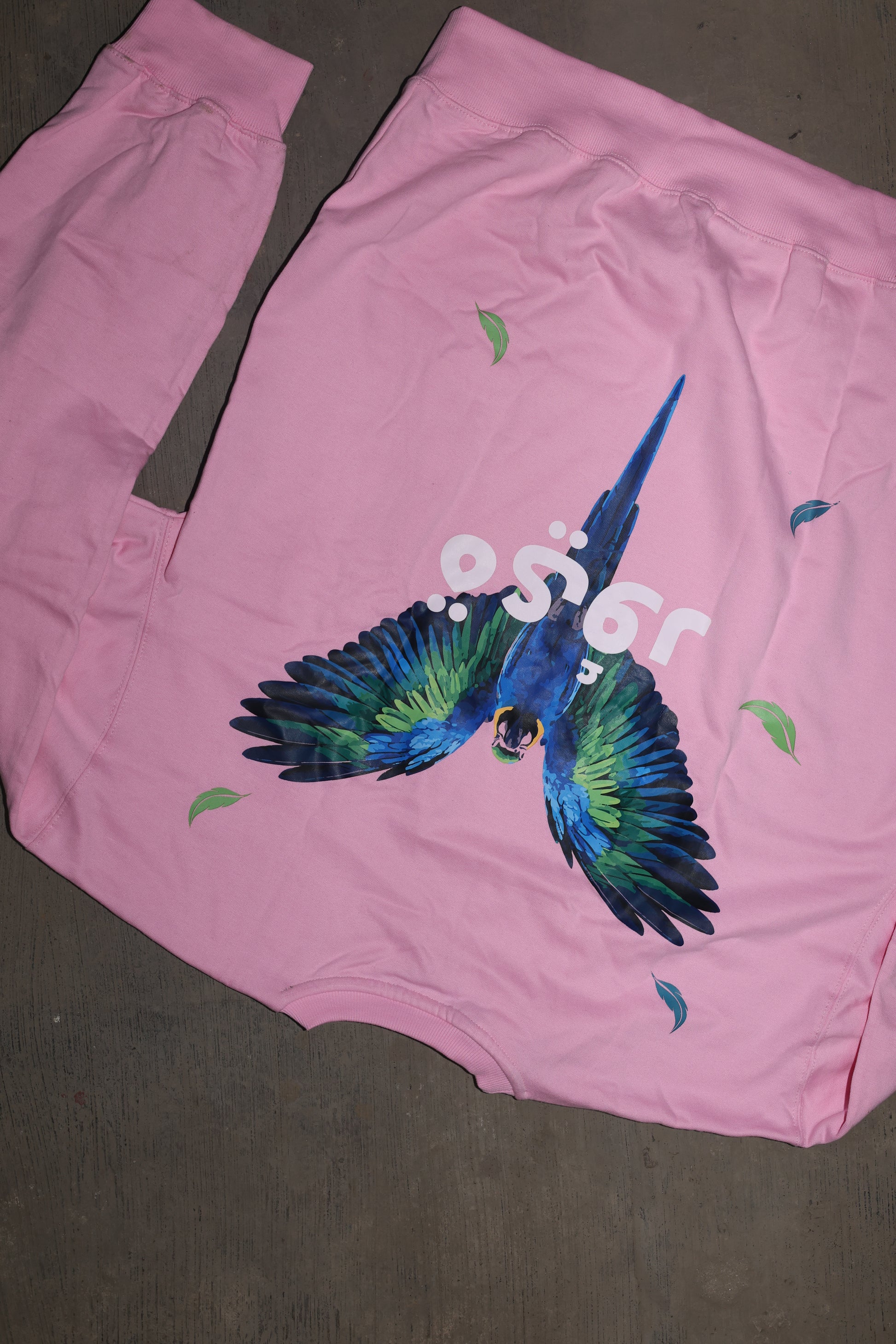Fleshwing Sweatshirt - Pink