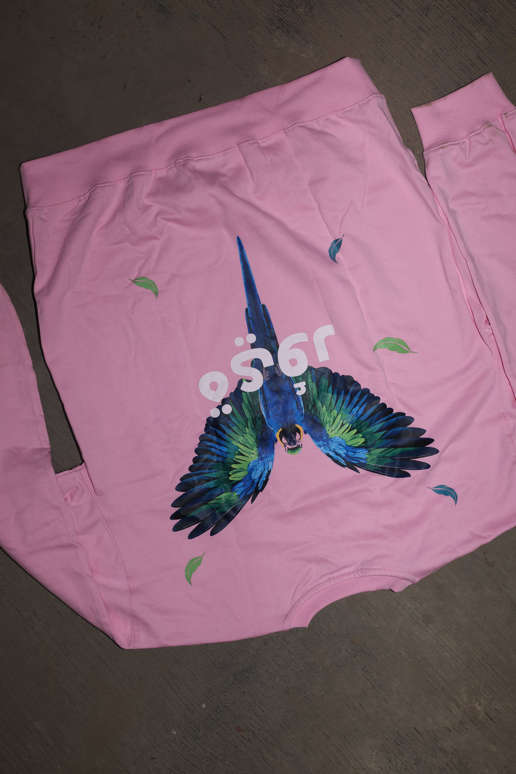 Fleshwing Sweatshirt - Pink
