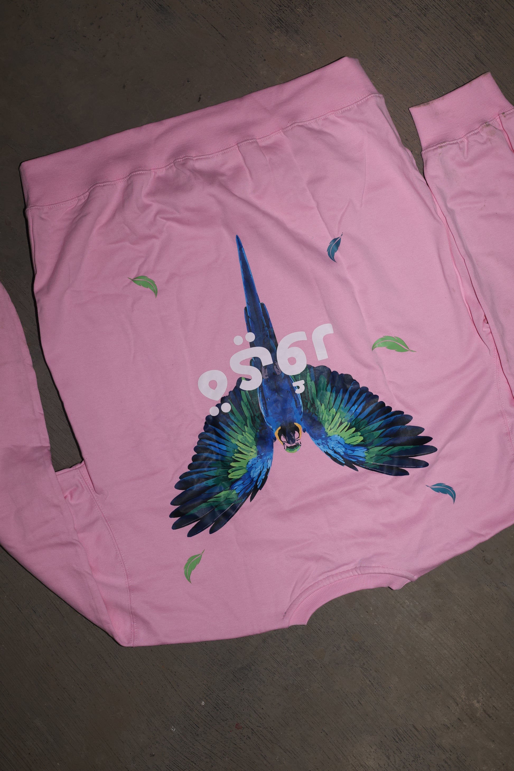 Fleshwing Sweatshirt - Pink