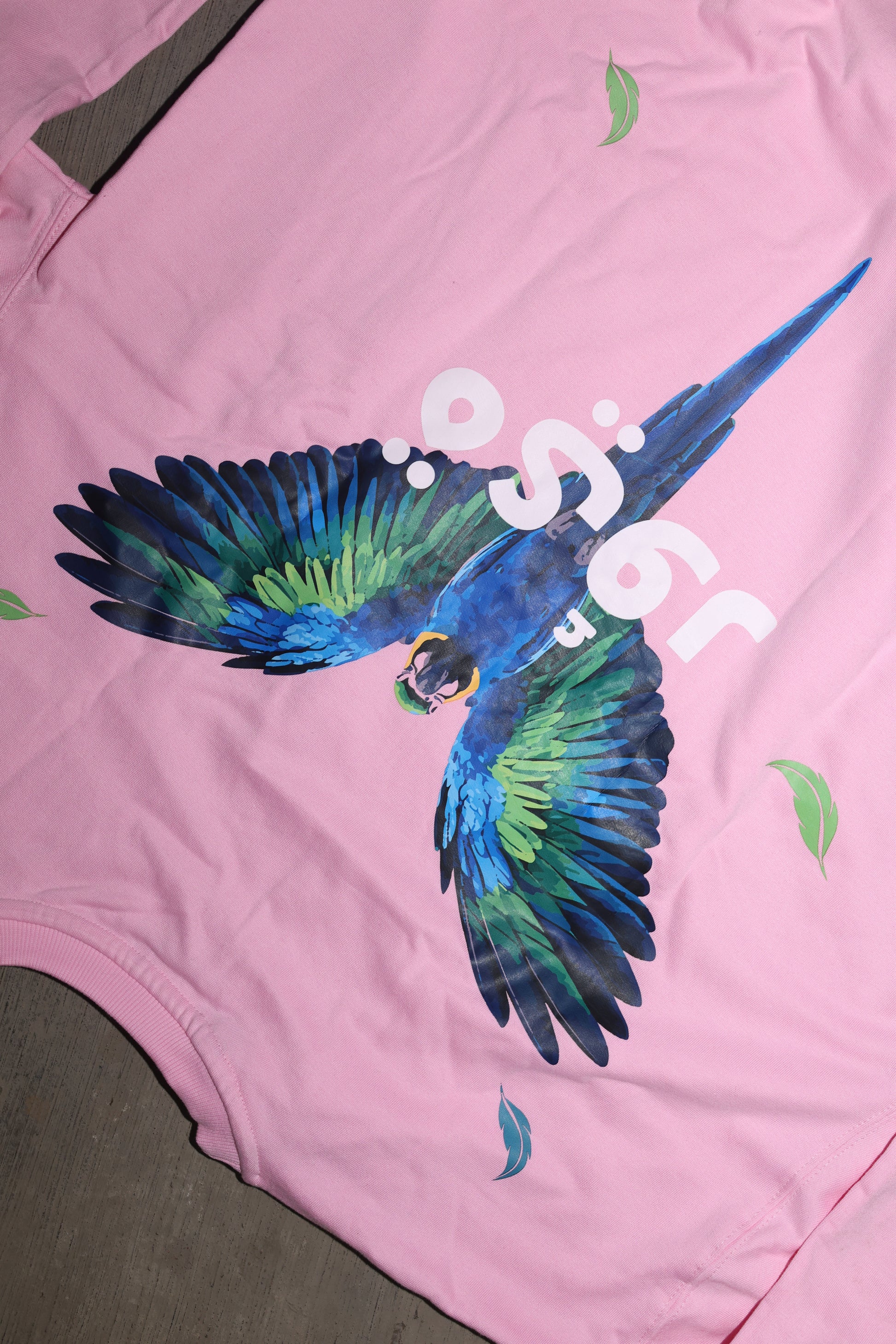 Fleshwing Sweatshirt - Pink