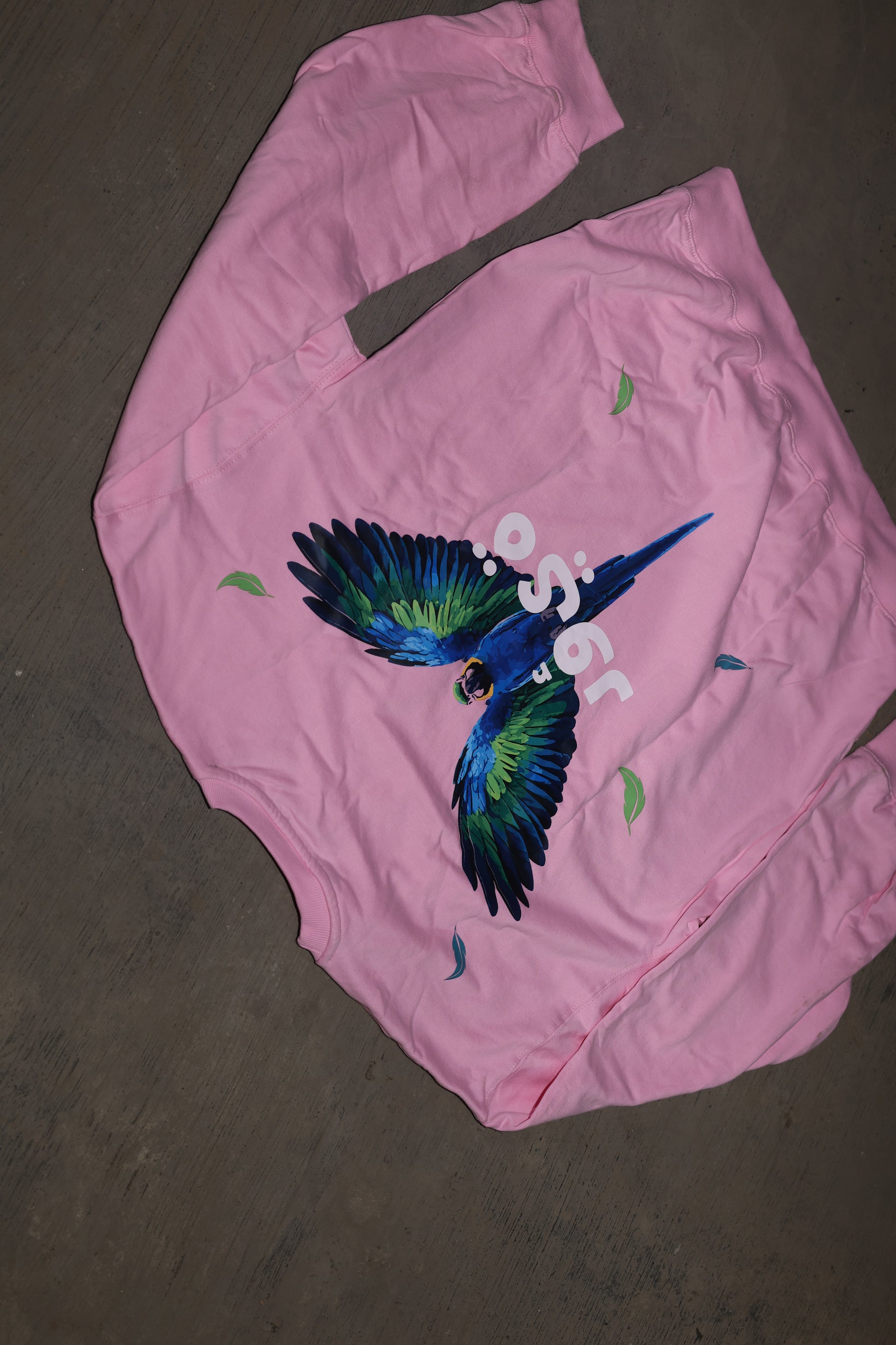 Fleshwing Sweatshirt - Pink