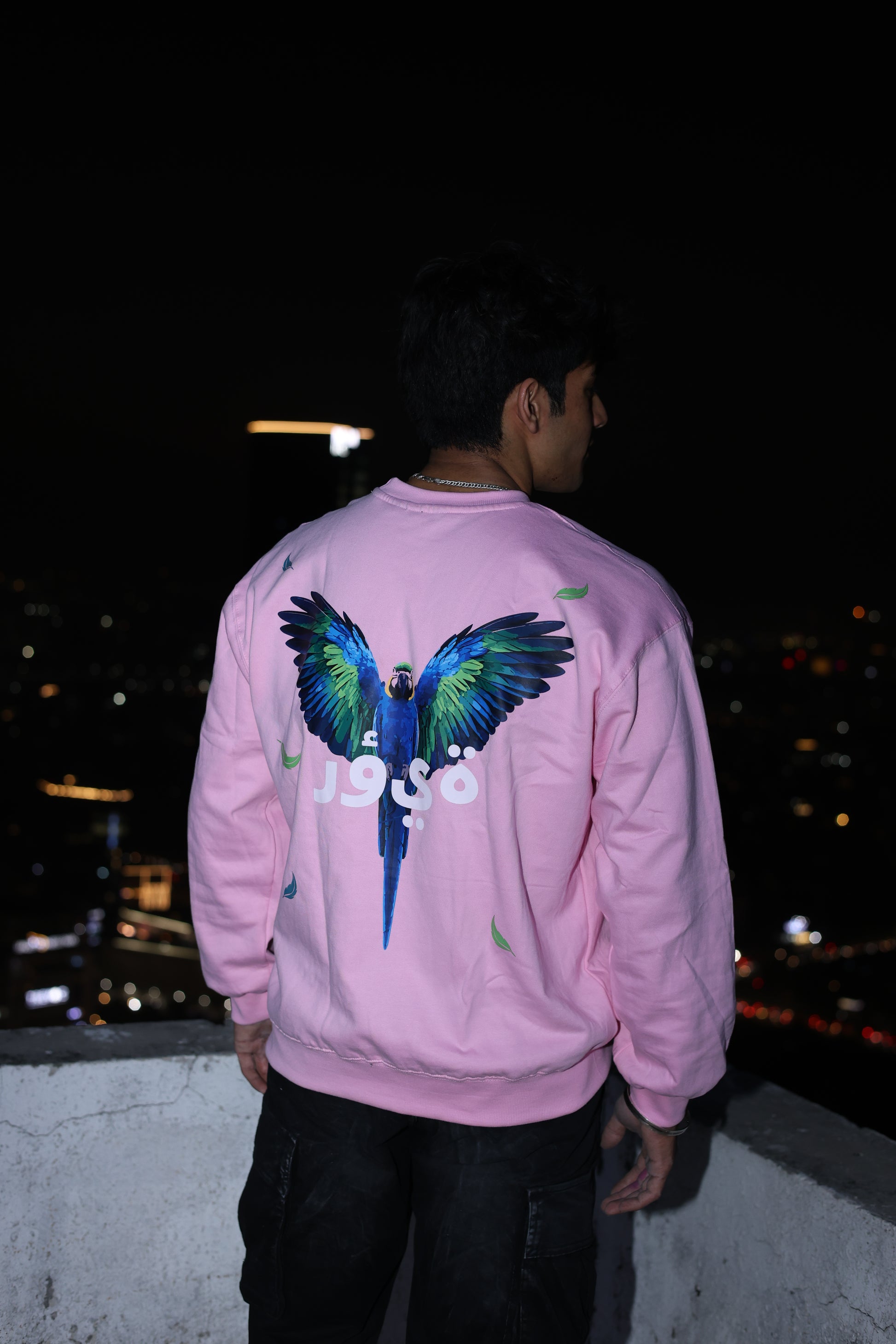 Fleshwing Sweatshirt - Pink